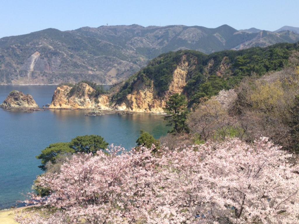 Dogashima Onsen Hotel Nisiizu Kültér fotó